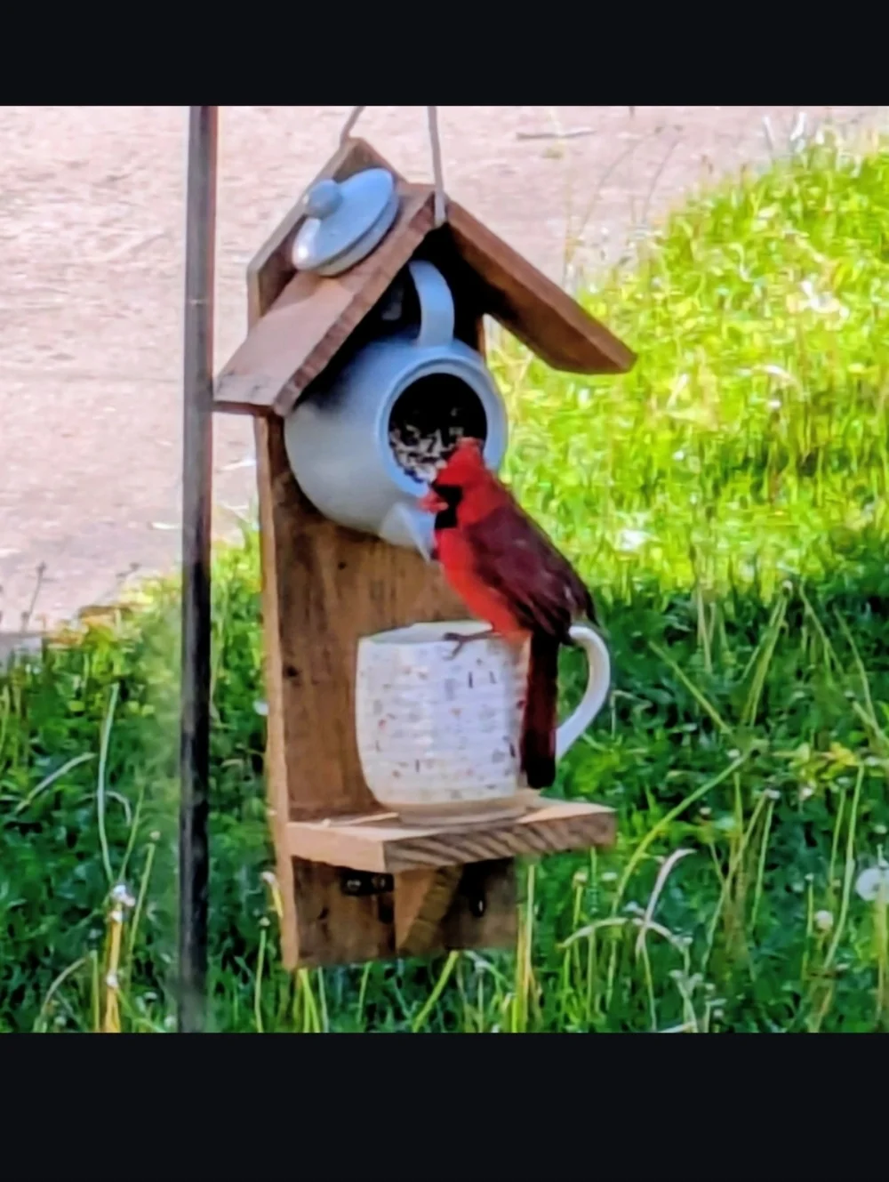Rustic Wooden Handmade Teapot Bird Feeder Fruit And Flowers